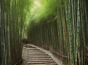 Japanese nature with bamboo thicket.jpg
