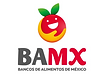 BAMX.png