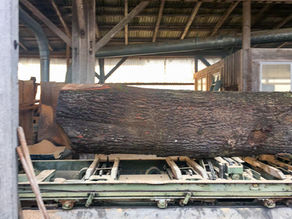Bauholz, Möbelholz oder Brennholz aus dem Sägewerk der Schaffert Holzbau GmbH