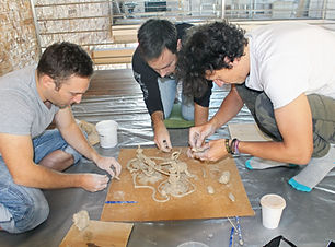 IMG_3480_edited.jpg