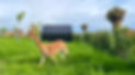 IMG_6948 PHOTOSHOP-5 Luchtvlekken weg.jpg