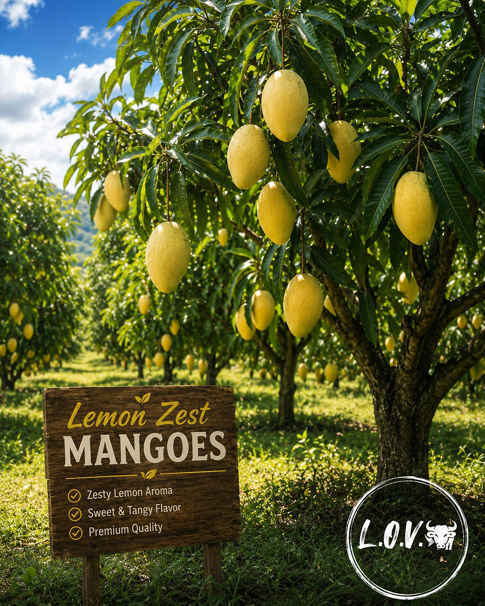 Thumbnail: LEMON ZEST MANGO TREE