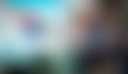 Cerca de medio millón de universitarios se verían afectados si se elimina la educación virtual