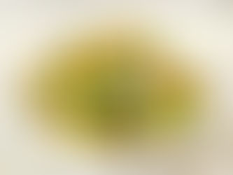 青豆角炒有營素粒