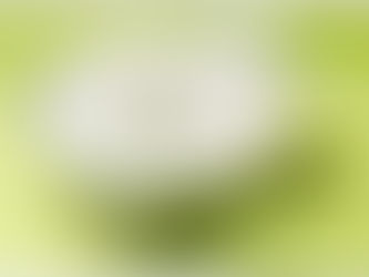 鮮淮山椰菜花南杏粟米腰果濃湯