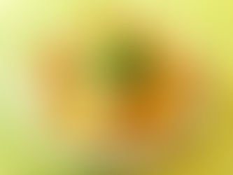 自製上湯腐皮包