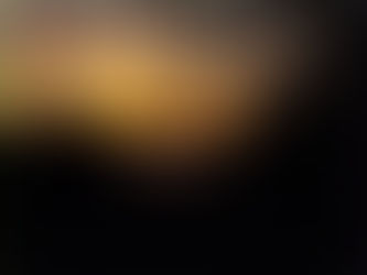 Michigan Forest Life - September 30, 2025