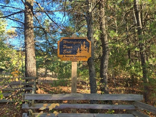 Michigan Forest Life - October 18, 2025