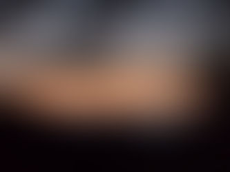 Michigan Forest Life - November 20, 2025