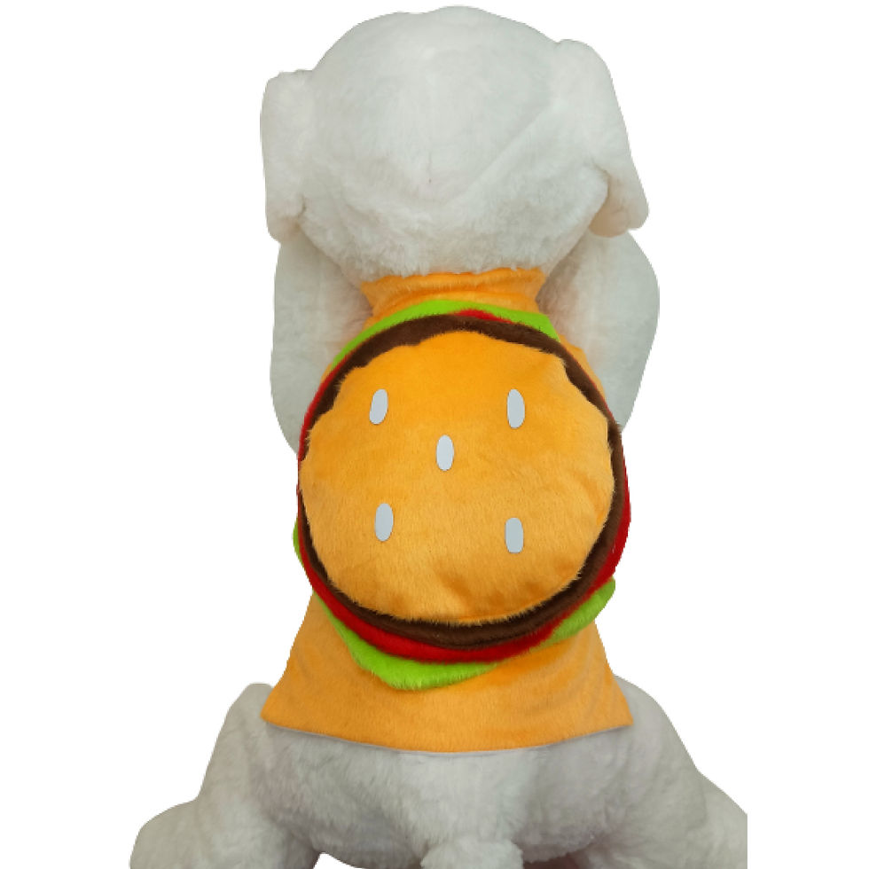 Pet Hambúrguer