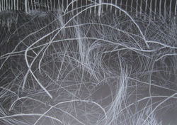 Brambles and fence in black