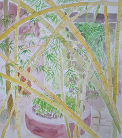 Bamboo garden