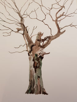 oak2