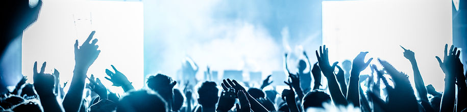 Concert crowd at live music festival