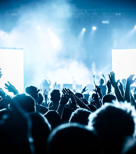 Concert crowd at live music festival