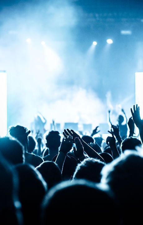 Concert crowd at live music festival