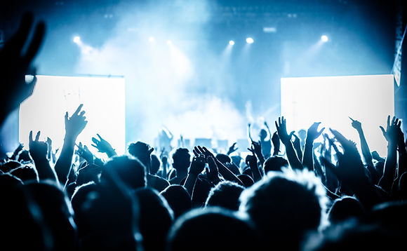 Concert crowd at live music festival