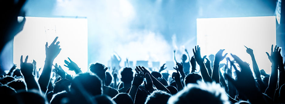 Concert crowd at live music festival