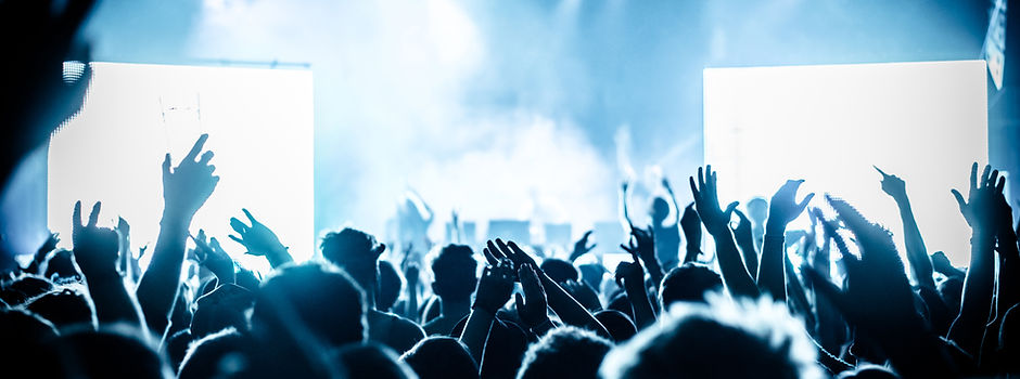 Concert crowd at live music festival