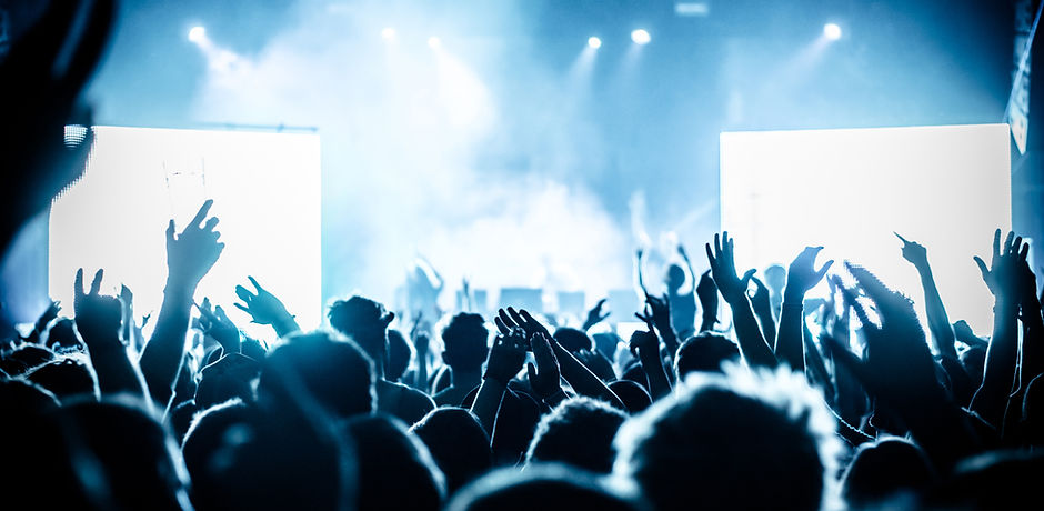 Concert crowd at live music festival