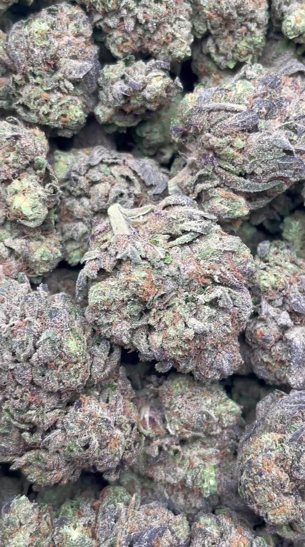 CUSTOM ORDER | TOP TIER