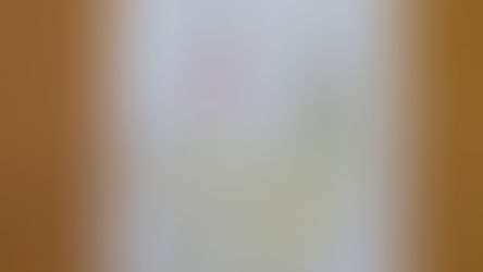 第二回トレーシングペーパーコンテスト