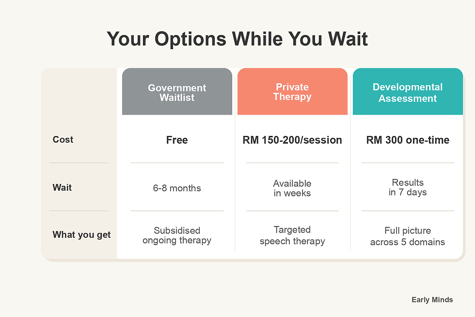 Your options: government waitlist, private therapy, developmental assessment - Early Minds