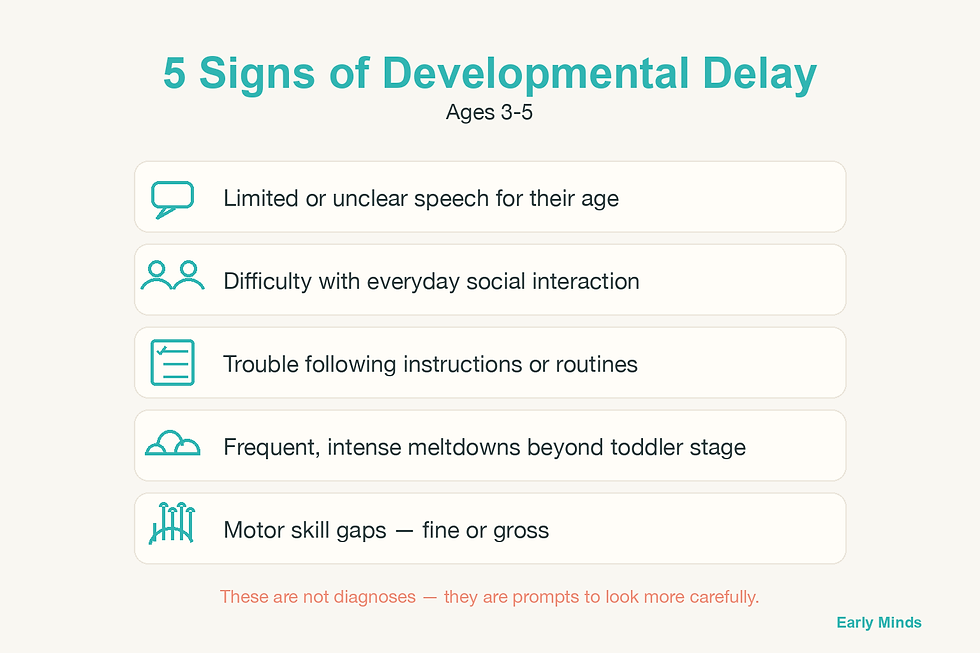 5 Signs of Developmental Delay infographic - Early Minds