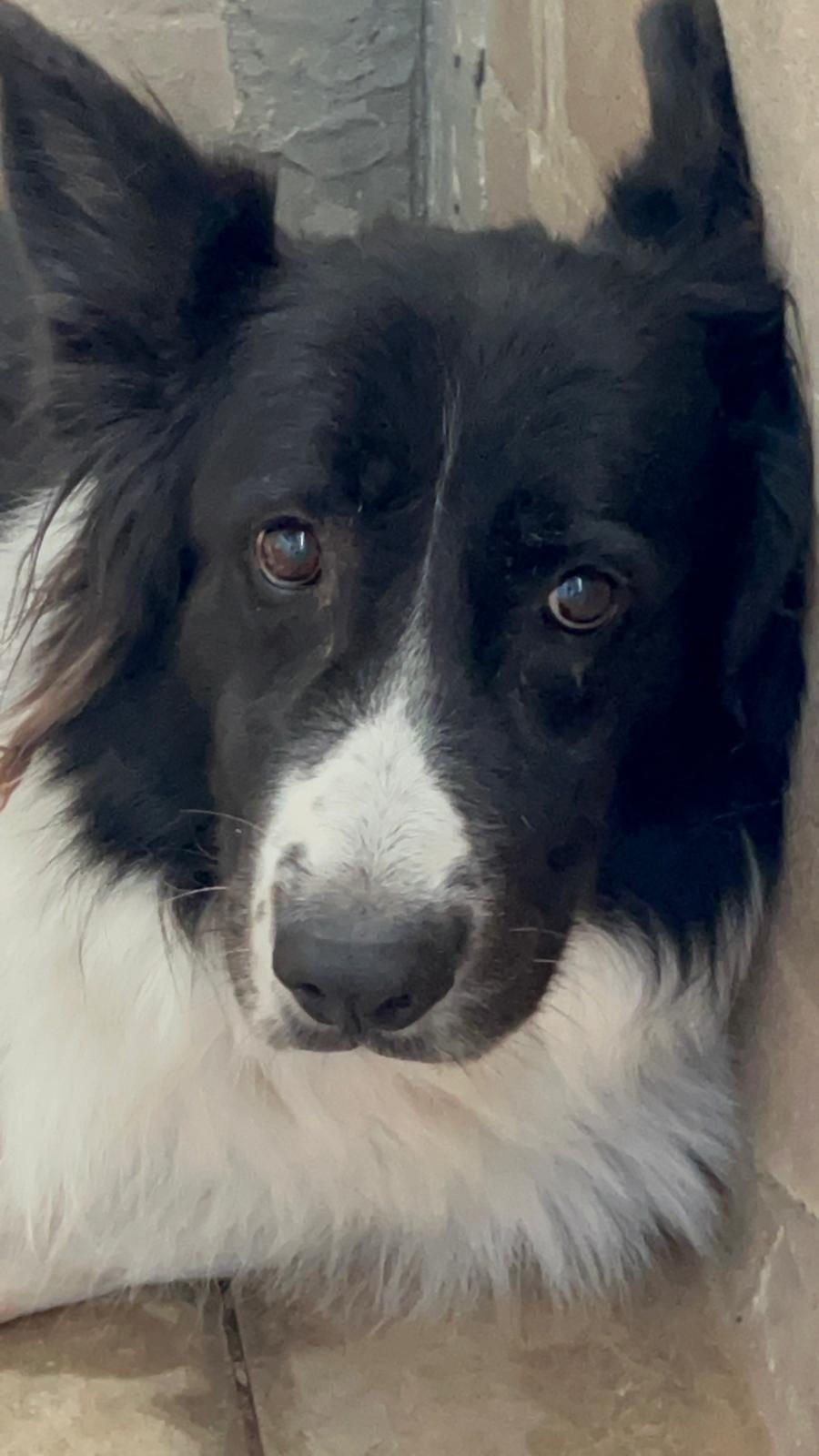 WhatsApp Image 2026-03-31 at 08.38.57