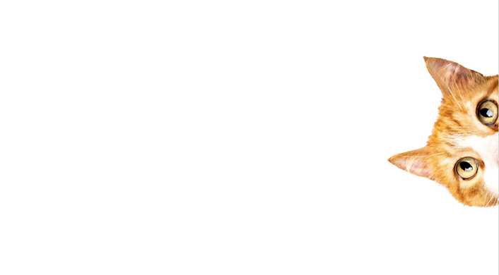Schermata 2025-02-08 alle 15.46.44.png