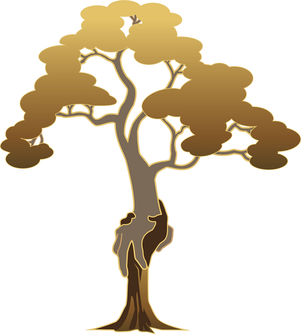 ARBRE DEGRADE.