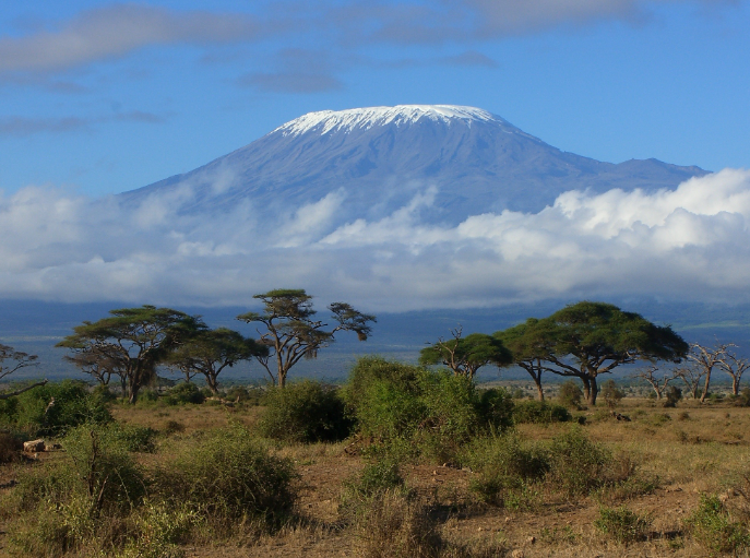 Thumbnail: Mt Kilimanjaro (Tanzanian Peaberry)