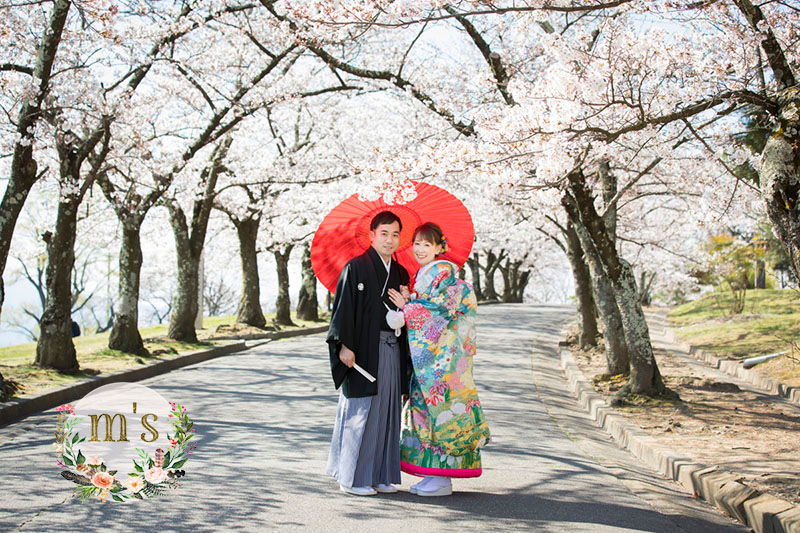桜のトンネルで赤い和傘をさす色打掛の新婦と紋付袴の新郎