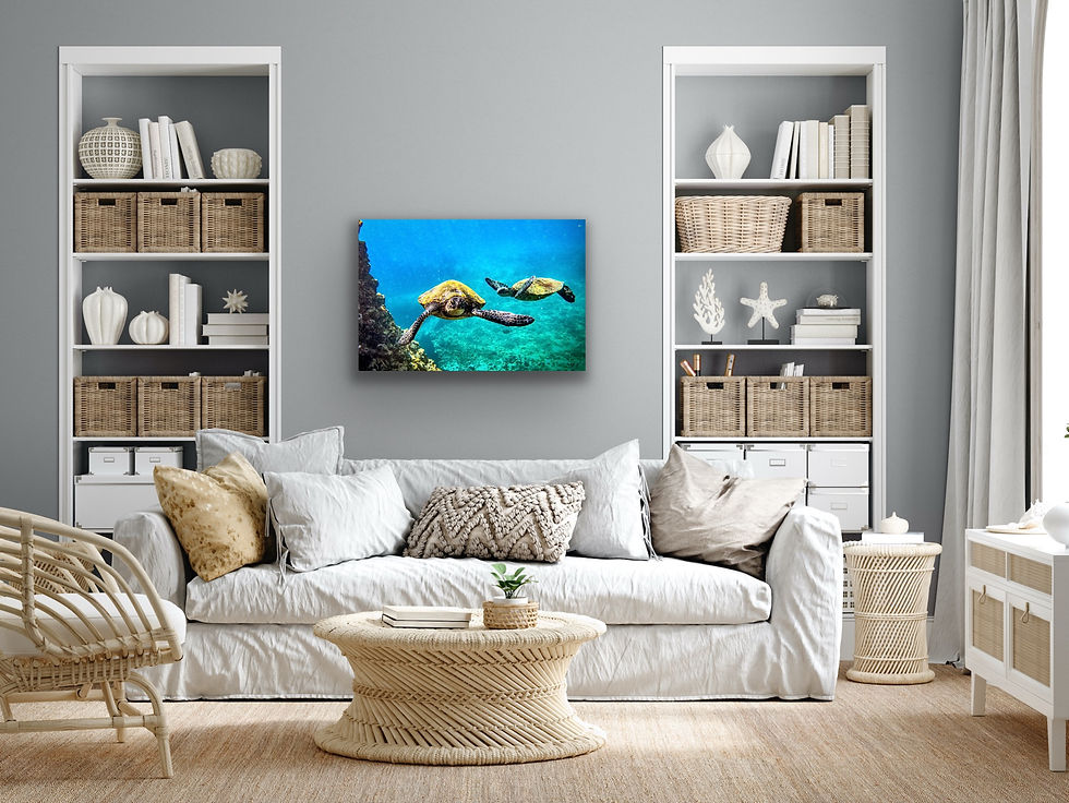 Thumbnail: Sharks Cove