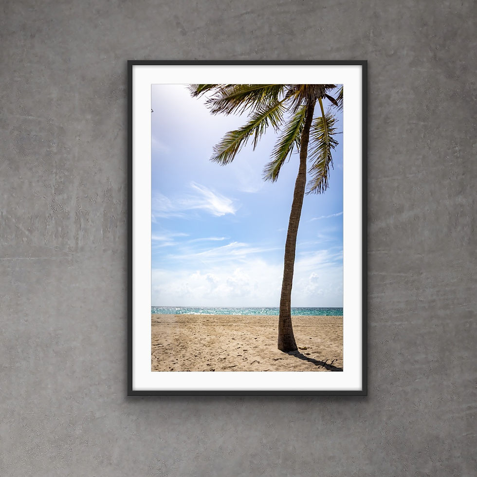 Thumbnail: Hollywood Beach