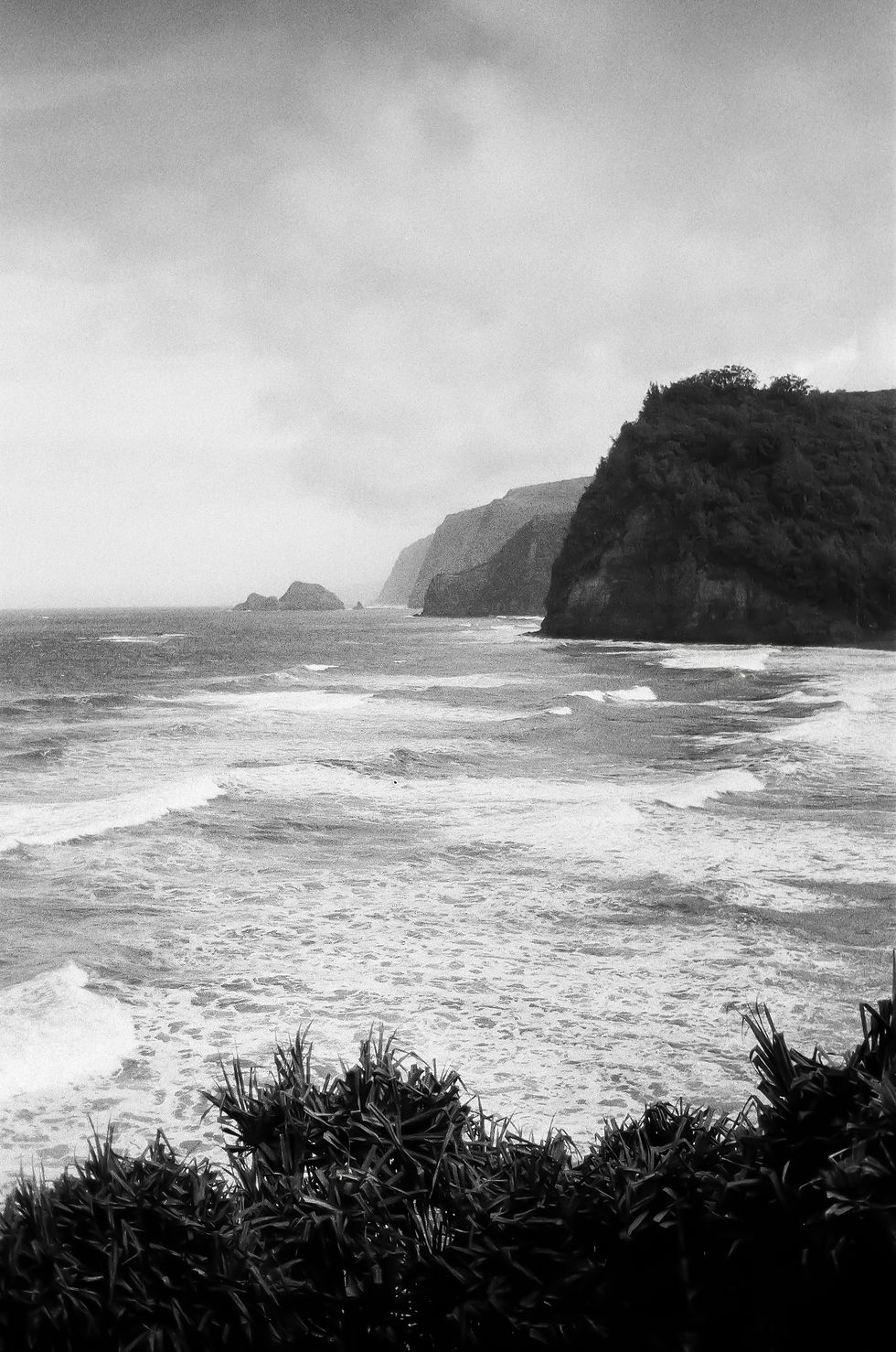 Pololu Cliffs