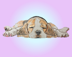 Screenshot 2025-04-16 at 05.52.13