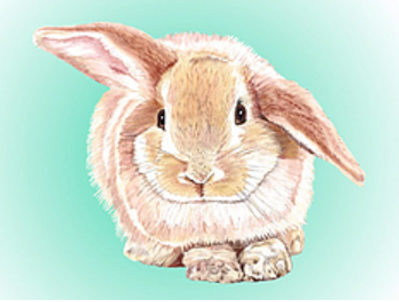 Screen Shot 2020-01-11 at 12.58.23 PM.pn