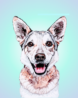 Screen Shot 2023-04-25 at 06.31.33