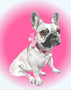 Screen Shot 2024-02-18 at 12.29.07