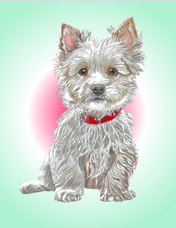 Screenshot 2025-01-11 at 06.26.32