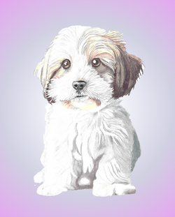 Screen Shot 2024-01-28 at 14.13.11