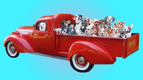 RedTruckfulofPets copy.png