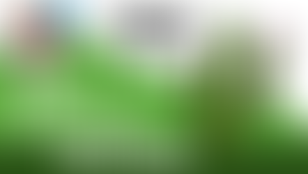 A Flor e O Cactus - Taina Andere | História Infantil