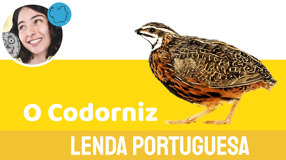 a lenda do codorniz