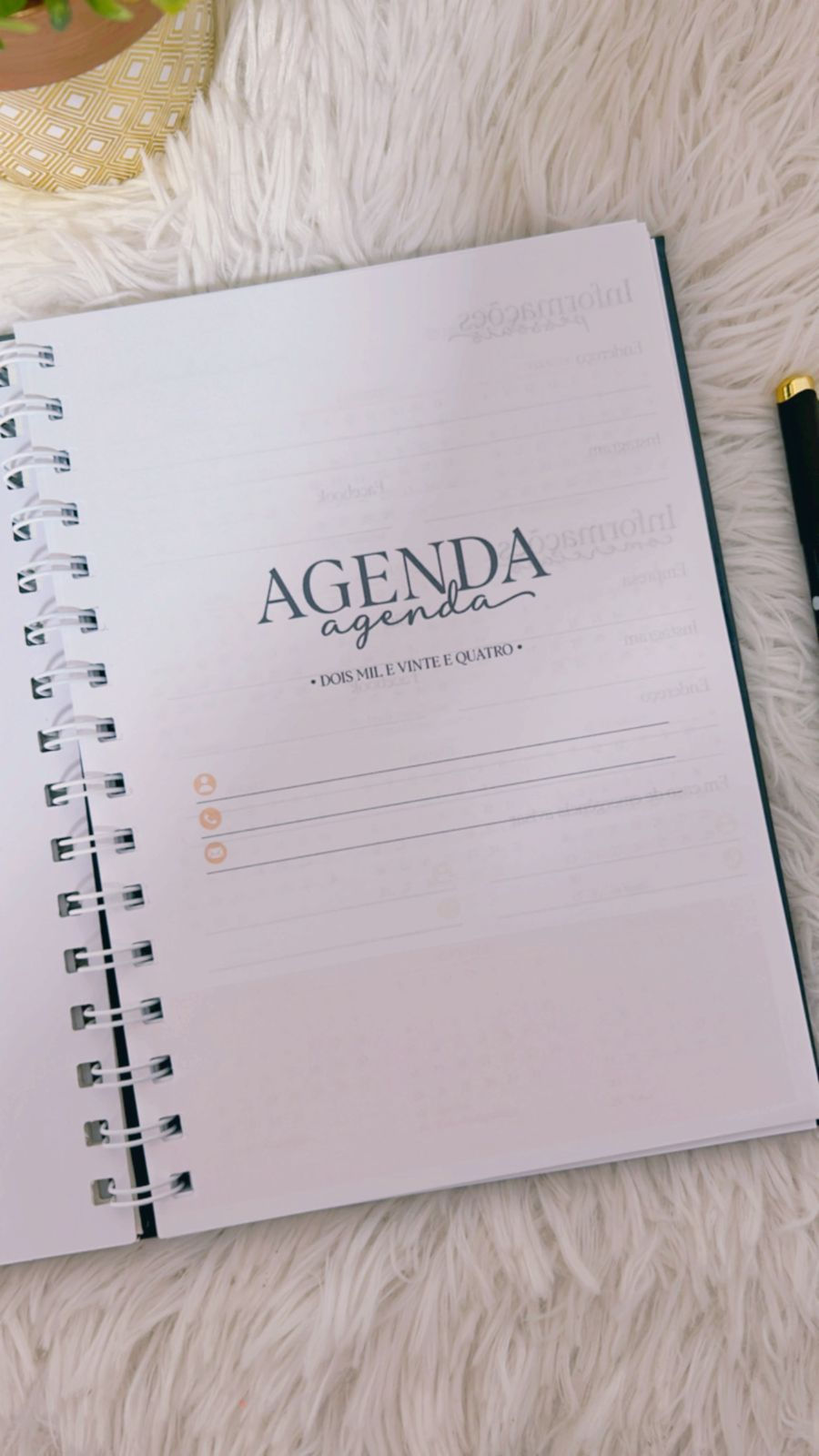 Miniatura: Agenda com visão semanal + caixa