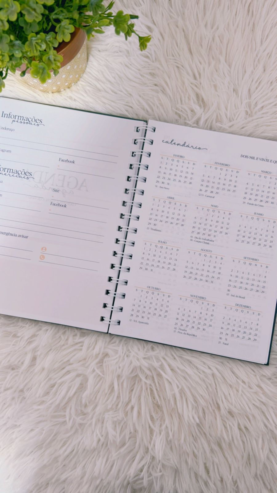 Miniatura: Agenda com visão semanal + caixa