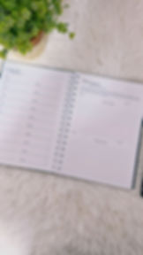 Miniatura: Agenda com visão semanal + caixa