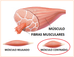 ¿Que es una Contractura Muscular? Y ¿Cuales son sus síntomas?