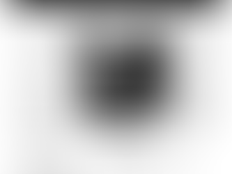 Ink & Insight 09.01.2025